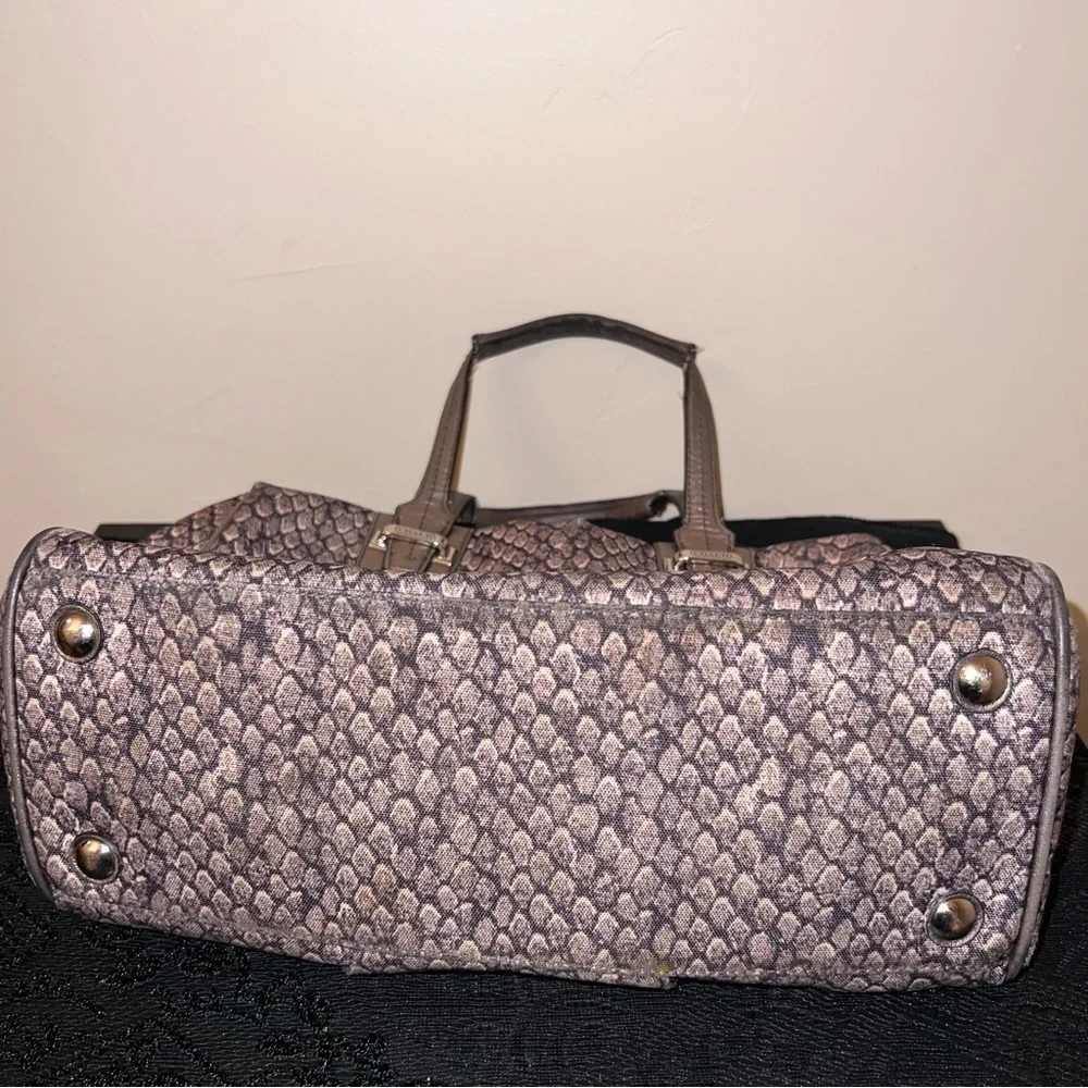 Coach Taylor Python Snake Print Bag